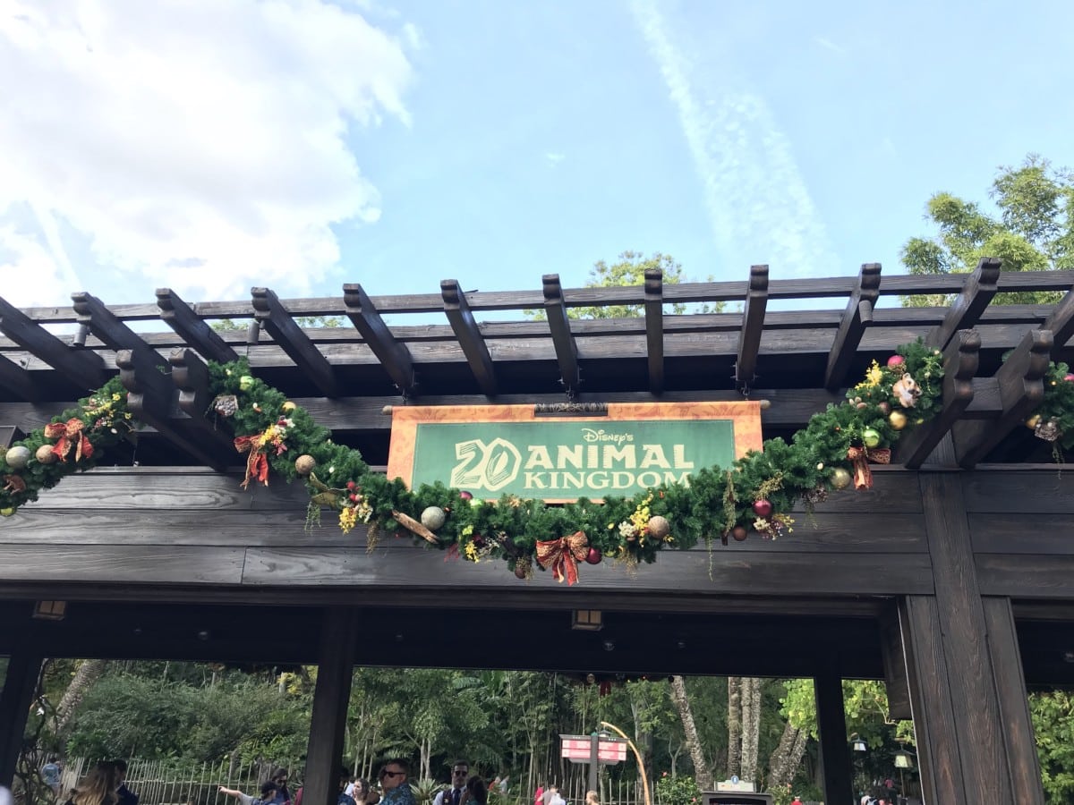 Holiday Decor At Animal Kingdom