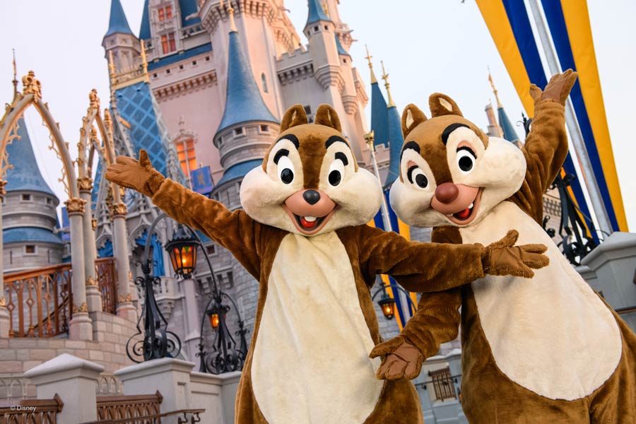 Chip and Dale at Magic Kingdom Park