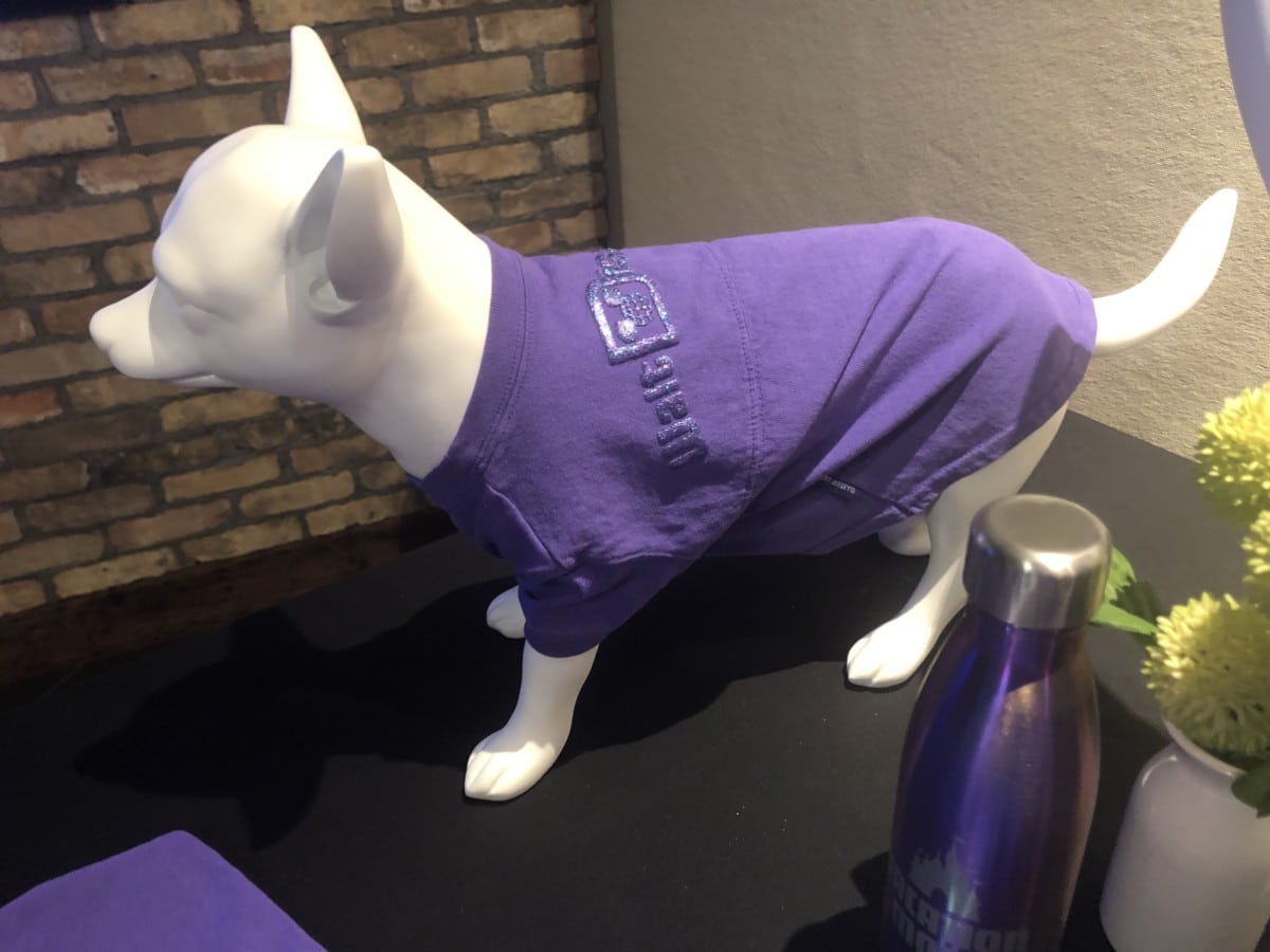 disney dog spirit jersey sizing