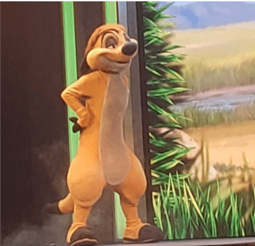 Timon
