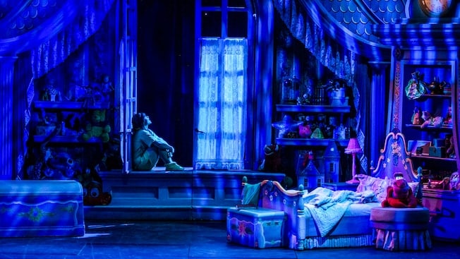 Disney Dreams an Enchanted Classic