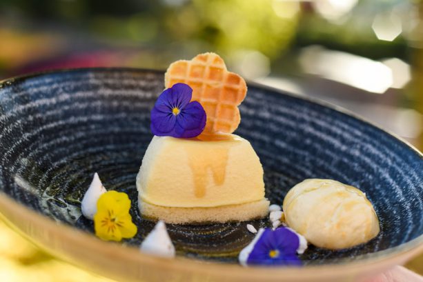 Local Wildflower Honey mascarpone Cheesecake from the Honey Bee stro at the 2019 Epcot International Flower Garden Festival