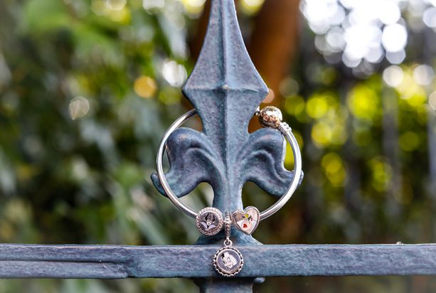 Villaintine's Day Charm Set