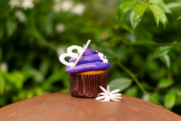 International Womens Day Cupcake from Creature Comforts at Disney's Animal Kingdom