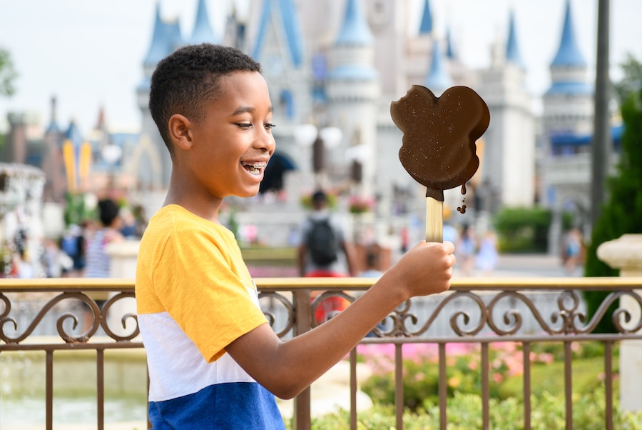 | The Main Street Mouse