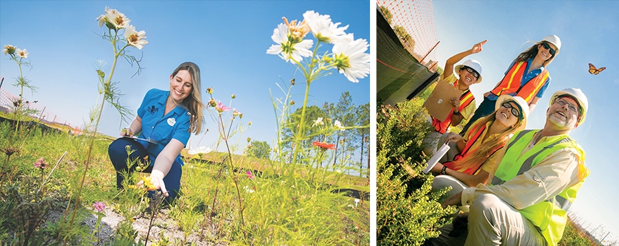 Walt Disney World Resort Celebrates Earth Day With New Solar Facility Capable of Powering Two Theme Parks