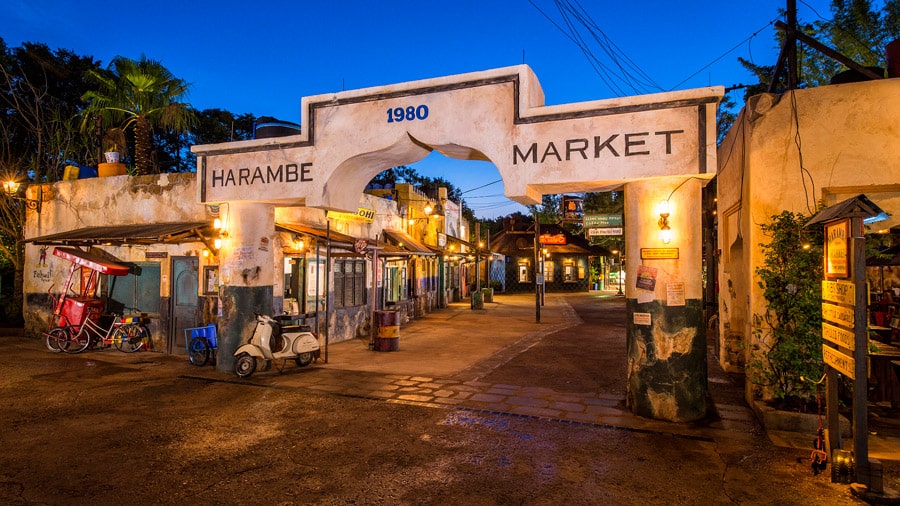 Harambe Market at Night at Disney’s Animal Kingdom Theme Park