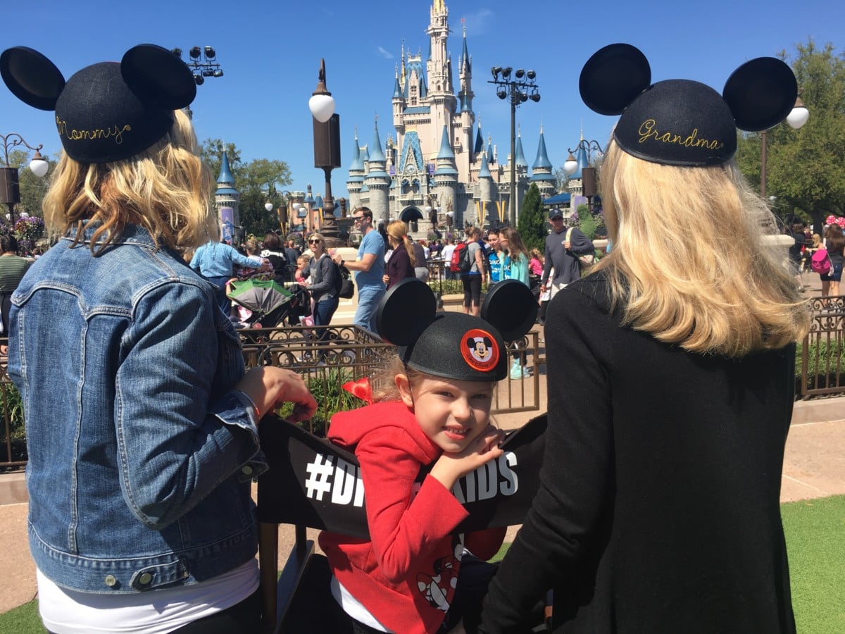 3D1491886CEF405EA829639236508068 | The Main Street Mouse