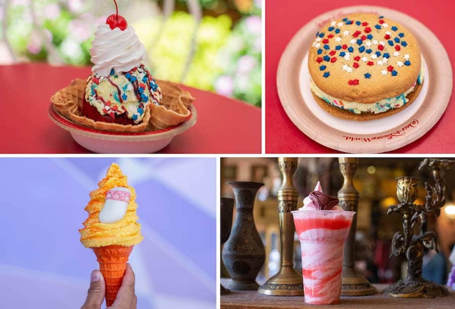 Various Cold Offerings from Magic Kingdom Park