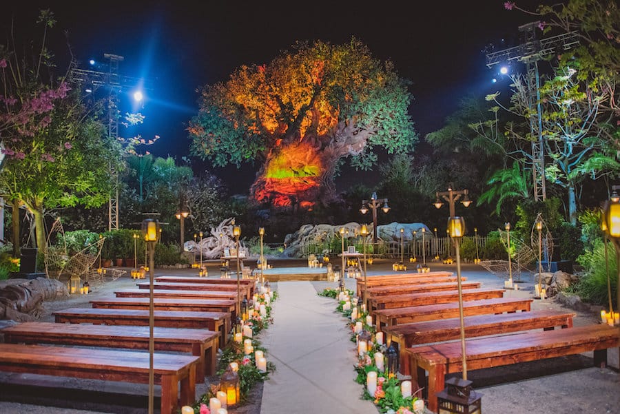 Disney Fairytale Wedding at Disney's Animal Kingdom