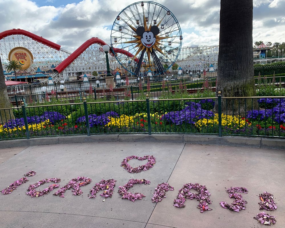 | The Main Street Mouse