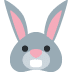🐰