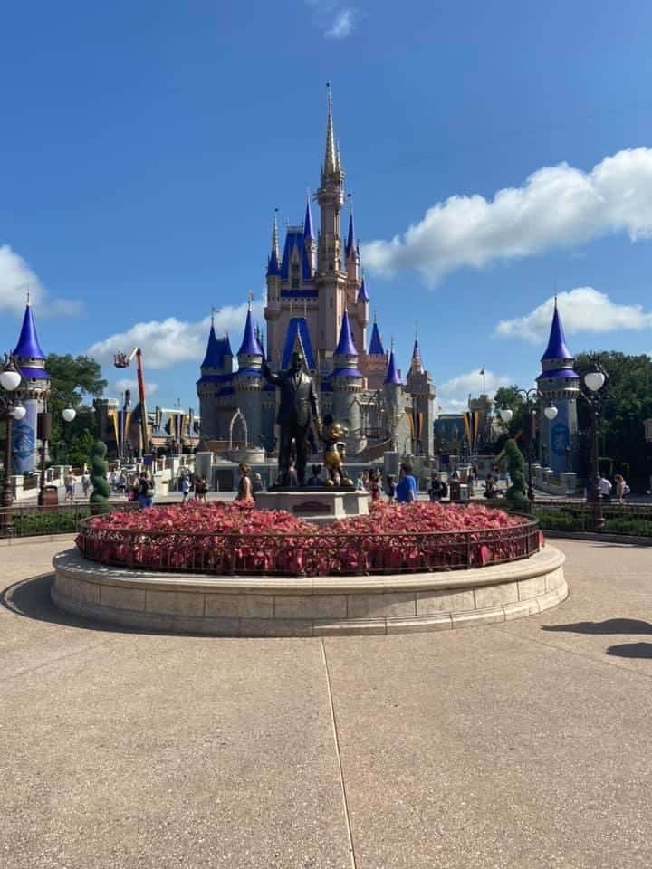 7F526DBCF01A4501A2768BF7E486F4A7 | The Main Street Mouse