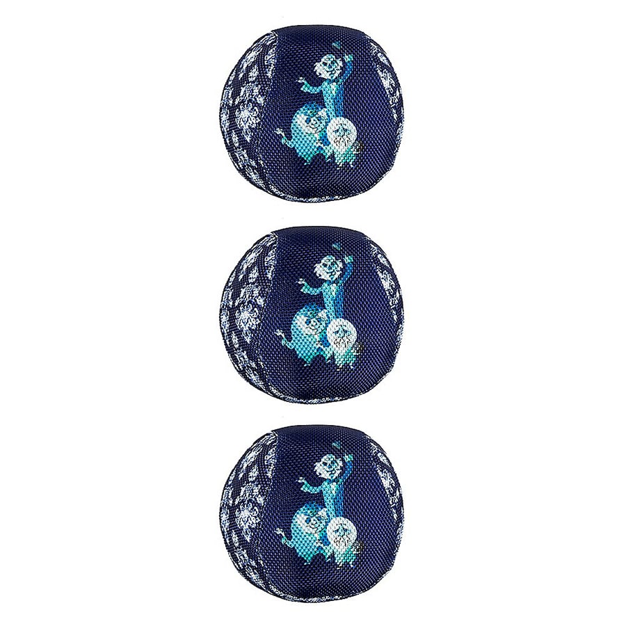 Haunted Mansion themed dog toys