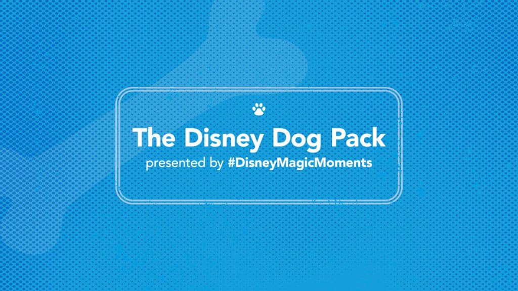 The Disney Dog Pack presented by DisneyMagicMoments