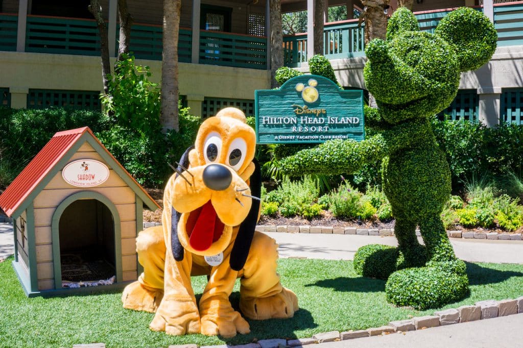 Pluto at Disneys Hilton Head Resort