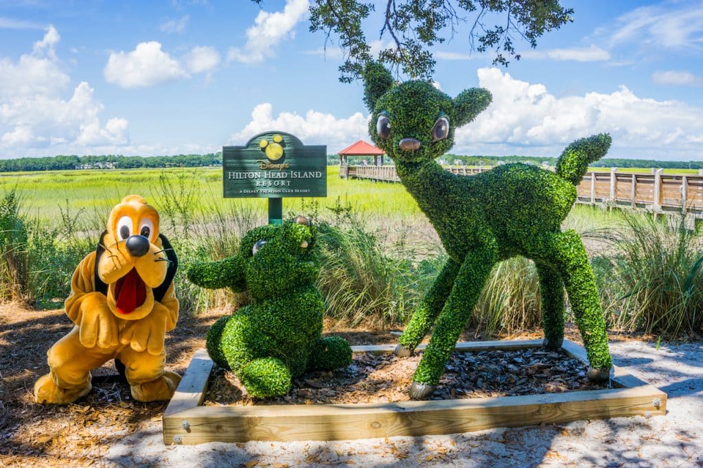 Pluto at Disneys Hilton Head Resort