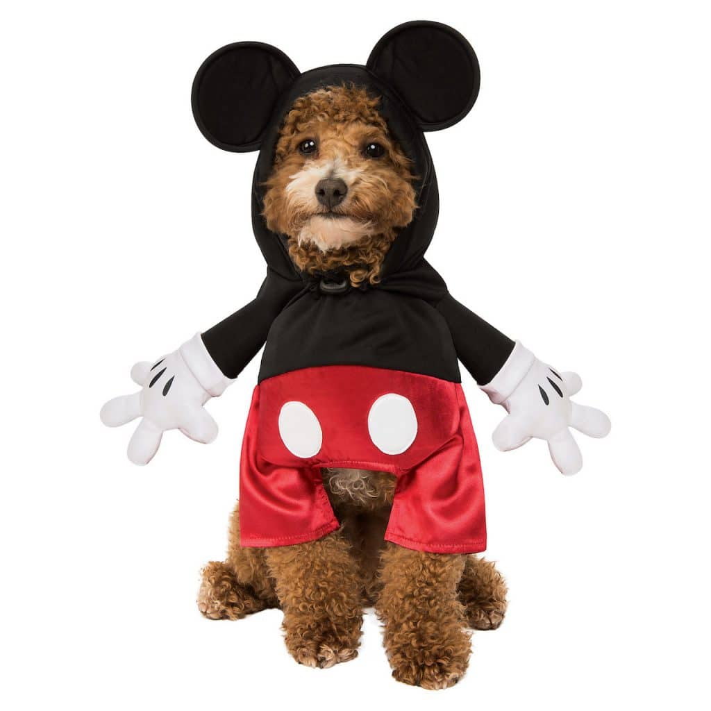 | The Main Street Mouse Dog in a Mickey Mouse Halloween Costume