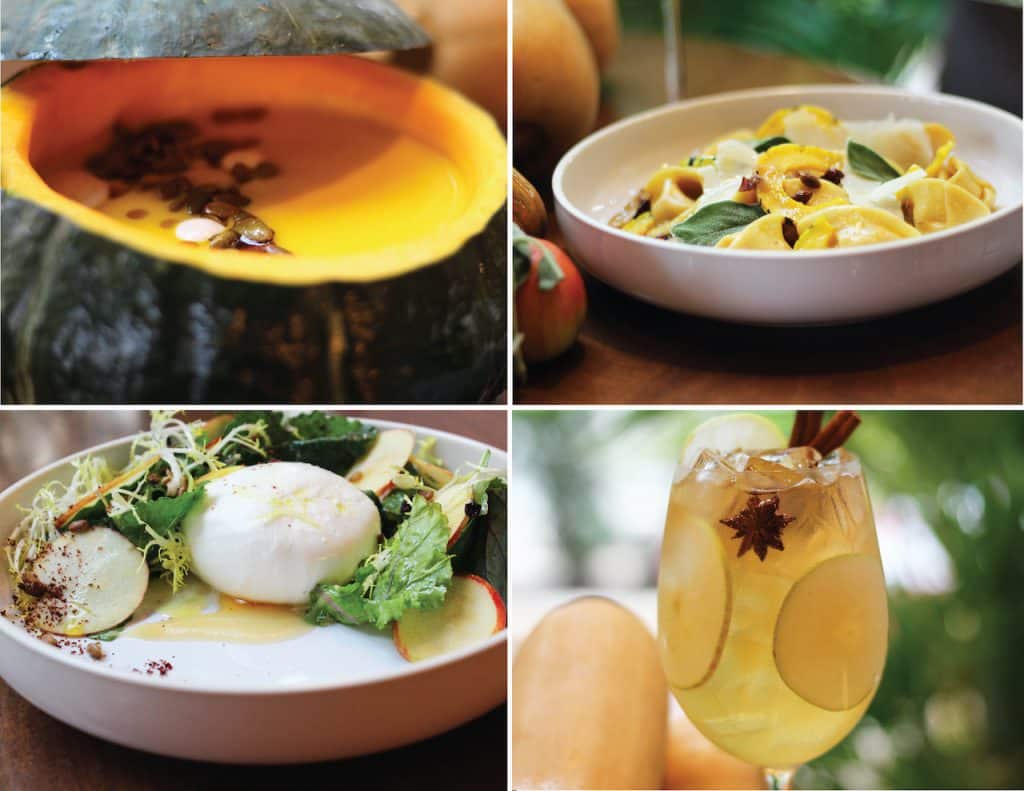 Roasted Pumpkin Soup Butternut Tortellini Heirloom Apple Salad Fall Spiced Sangria Wolfgang Puck Bar Grill