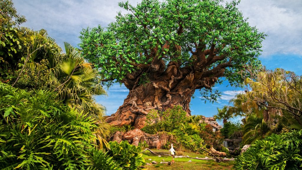 Tree of Life at Disney's Animal Kingdom