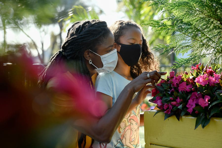 Flowers along the Health Full Trail presented by AdventHealth at Taste of EPCOT International Flower Garden Festival