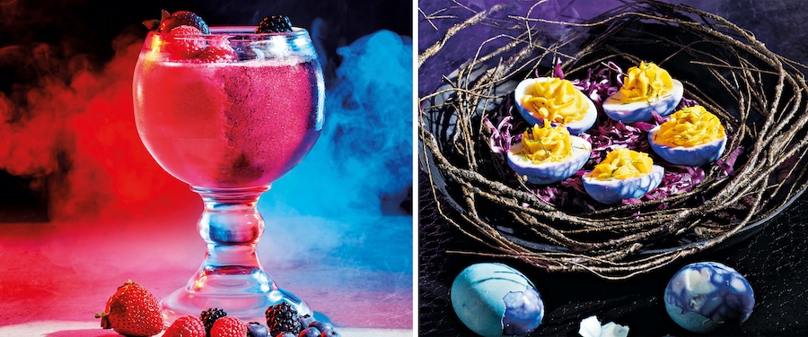 | The Main Street Mouse Disney Villains Devilishly Delicious Cookbook Underworld Smoothies and Deviled Dragon Eggs