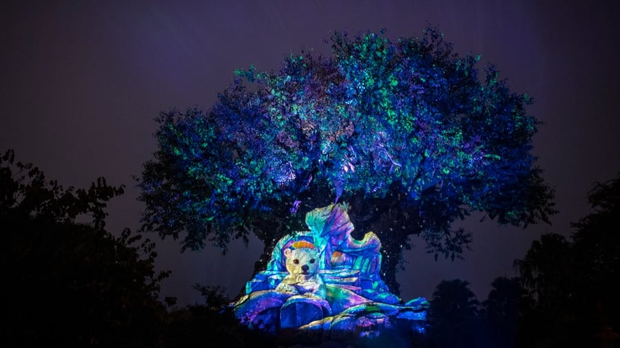 Holiday edition of Tree of Life Awakenings at Disney's Animal Kingdom Theme Park