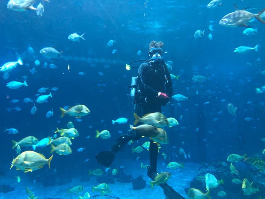 Dive Master at The Seas