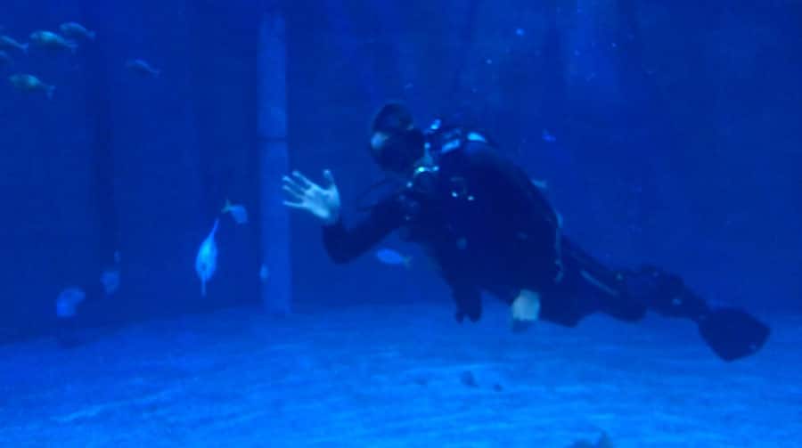 Dive Master at The Seas