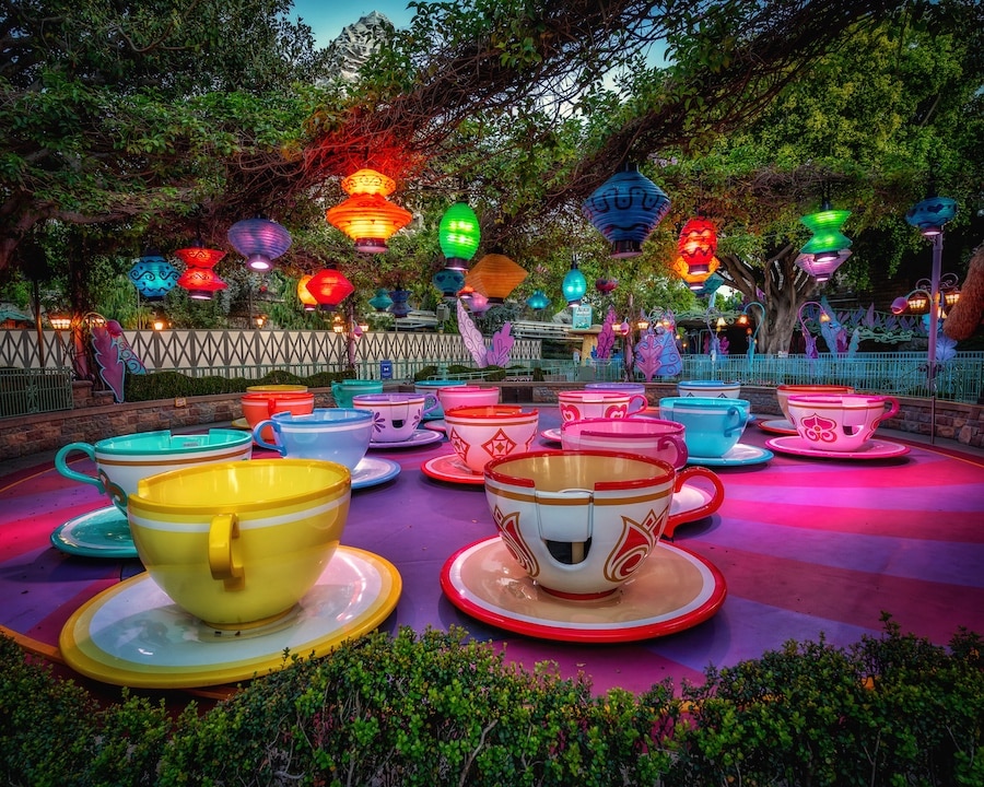 Photo of Mad Tea Party from planDisney Panelist Andres V.
