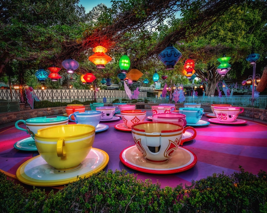 Photo of Mad Tea Party from planDisney Panelist Andres V