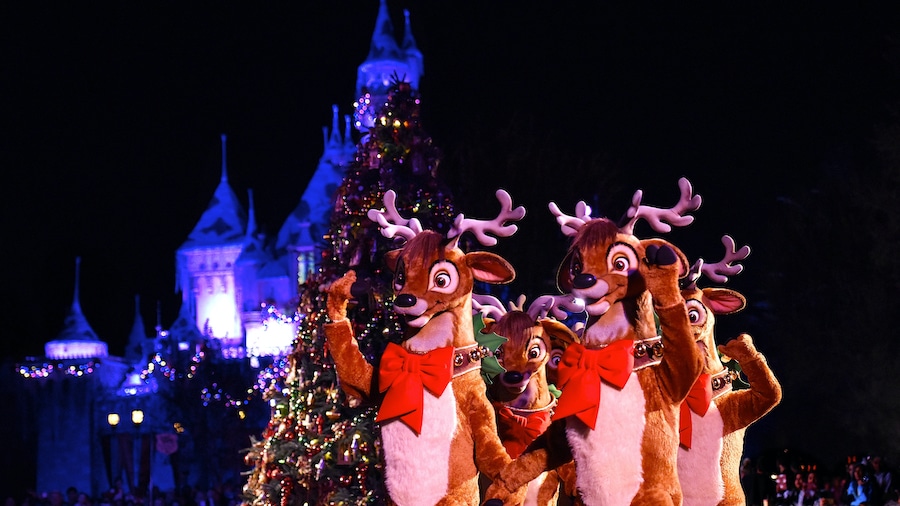 Reindeer at Disneyland Park