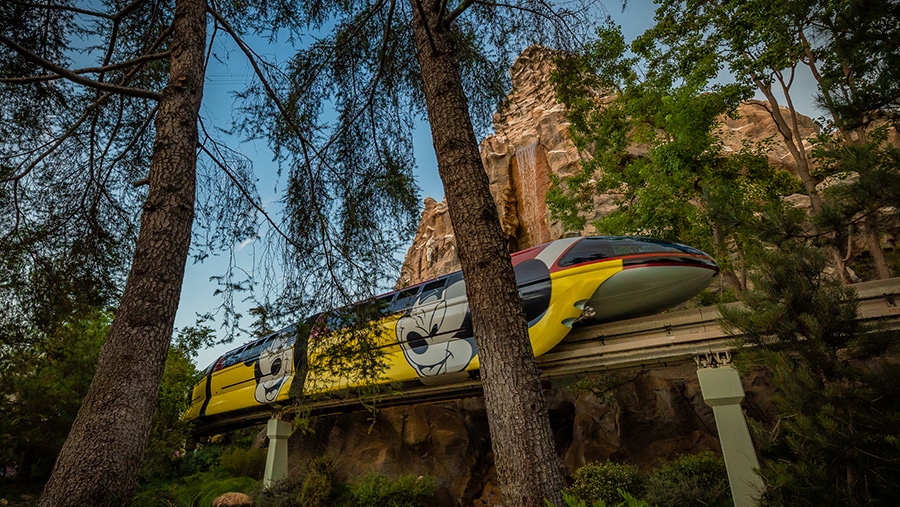 Disneyland monorail passes through the tress inside Disneyland with Matterhorn Mountain in the distance