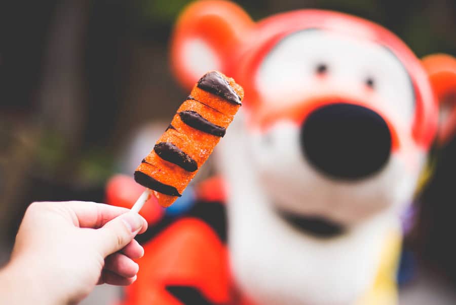 Tigger Tail from Hunny Spot at Disneyland Park