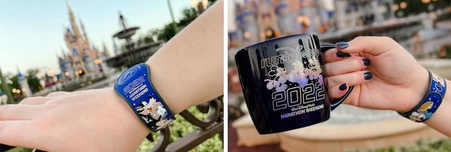 | The Main Street Mouse