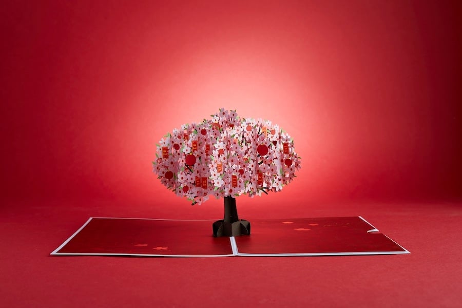 Pop up greeting card design from Lovepop