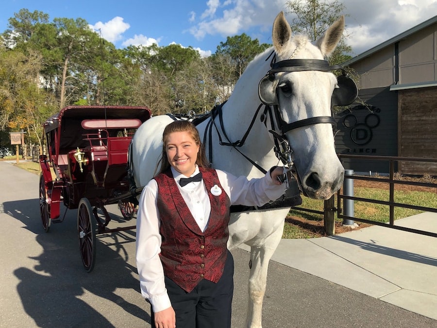 Sarah Toth Ranch Hand at Tri Circle D Ranch