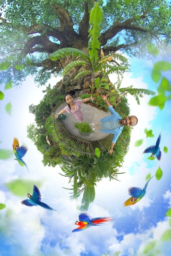 360 degree Tiny World Magic Shot at Disney's Animal Kingdom