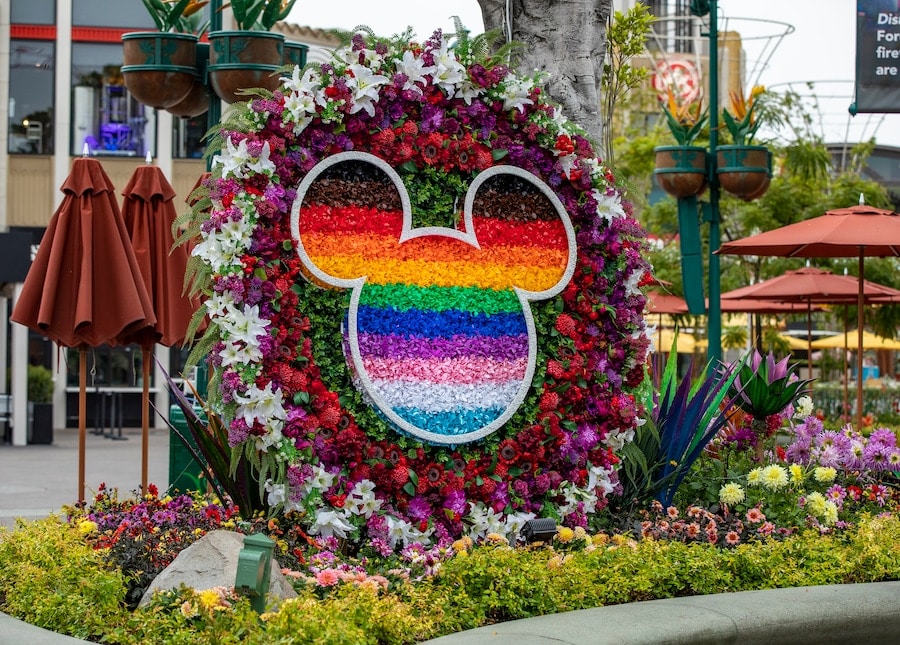 The PRIDE silleta