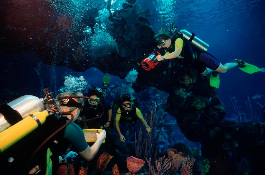 Guests enjoying EPCOT Seas Adventures Dolphins in Depth