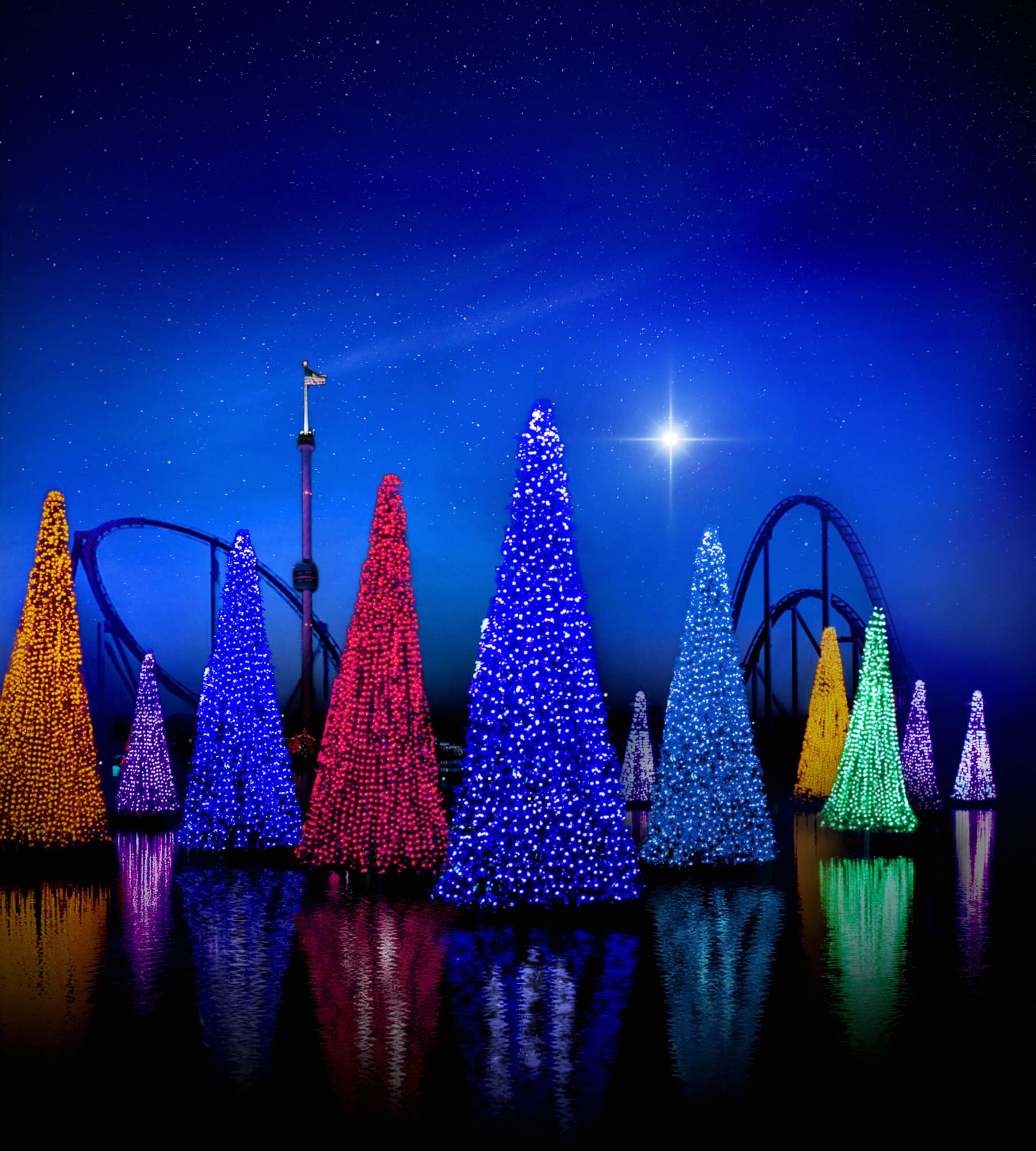 SW12619SWCCSeaOfTrees CoasterHorizontal | The Main Street Mouse