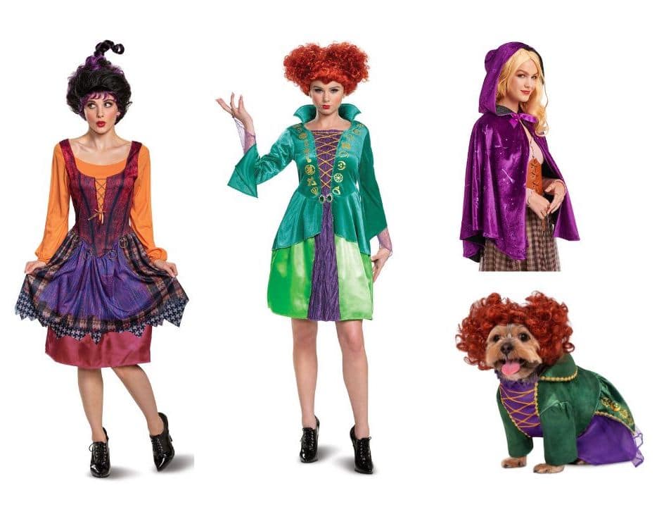 | The Main Street Mouse Sanderson Sister Costumes and Wigs