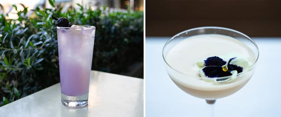 Catal Restaurant and Uva Bar Cafe Lavender Honor and Naples Ristorante Enchanted Centuria Martini available in Downtown Disney District