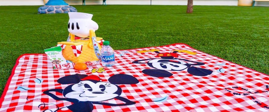 Perfect Picnic Basket