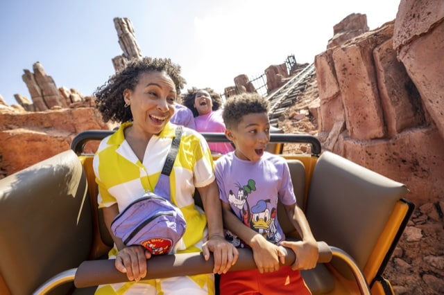 DisneyThrills1 | The Main Street Mouse