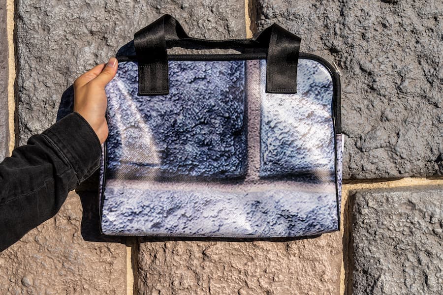 Disneyland Paris bags