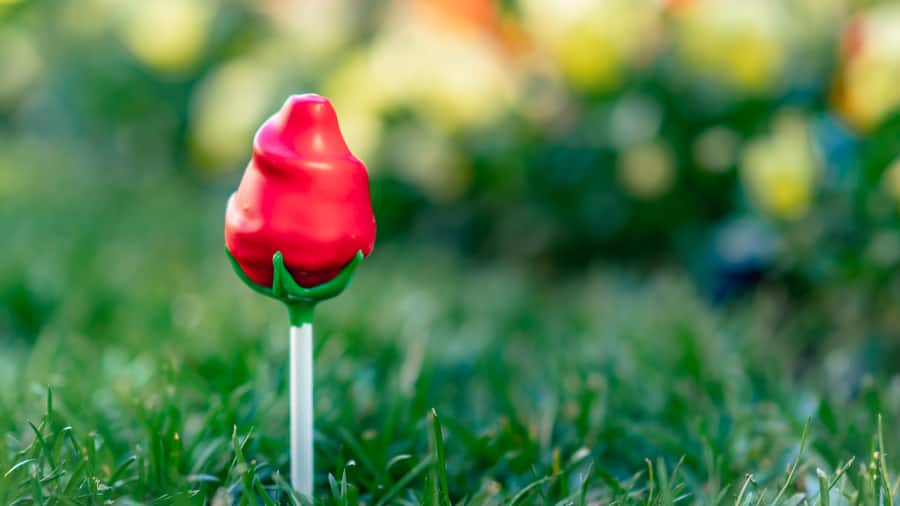 Red Rose Cake Pop