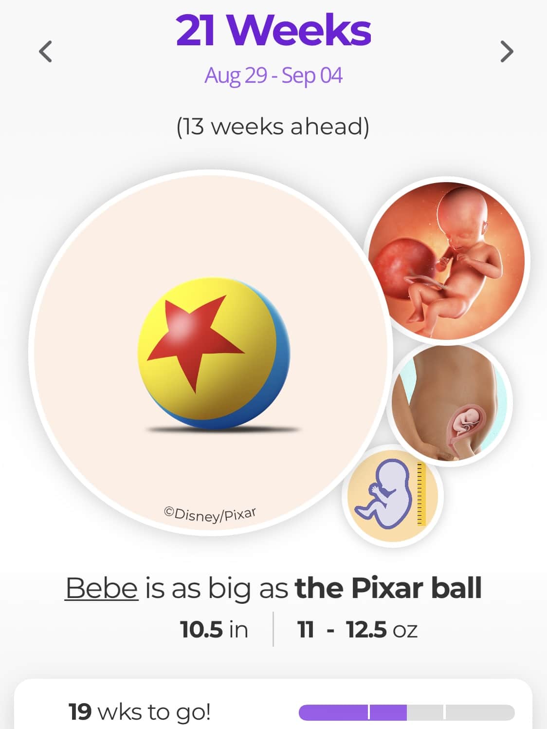 What to Expect App Introduces Disney Baby-Inspired Fetal Size Comparisons