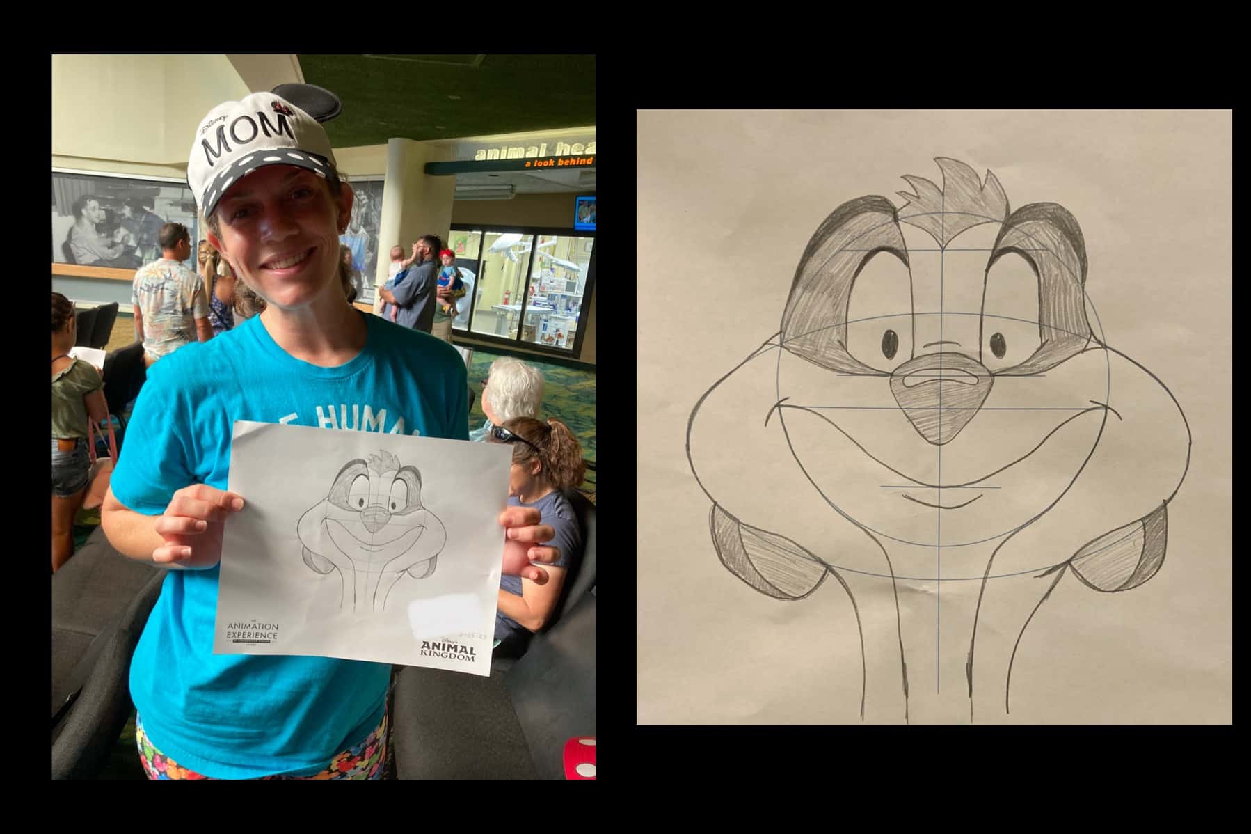 Drawing at Animal Kingdom