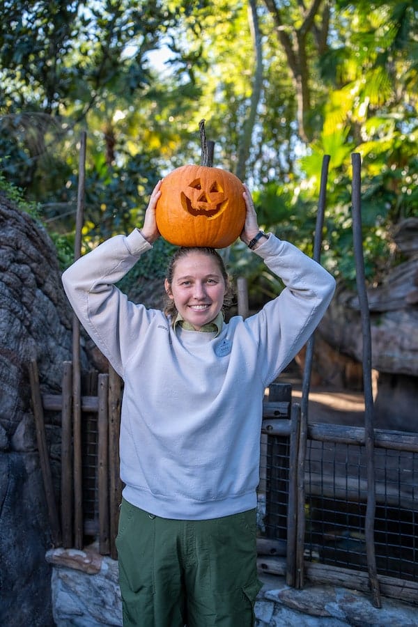 Disney animal nutritionist with a pumpkin for animals at Disney World
